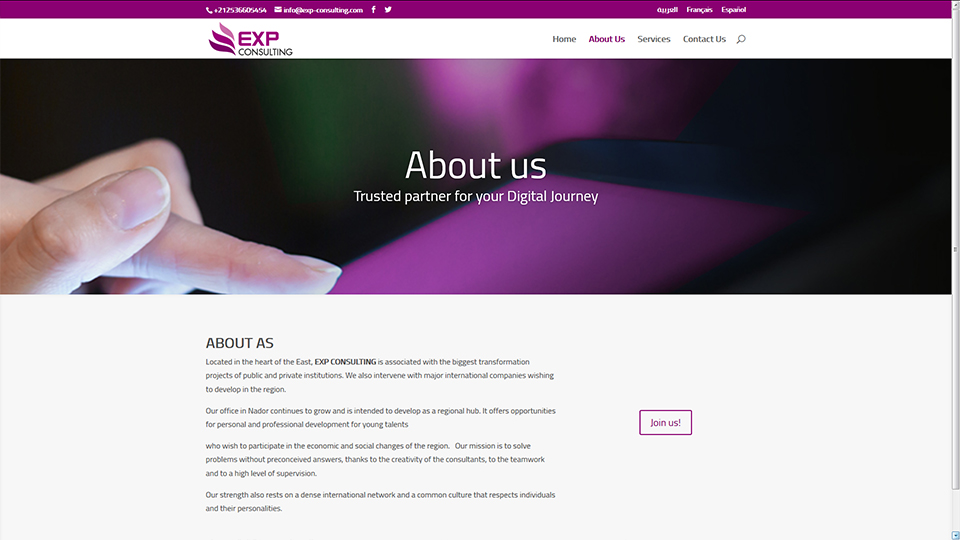 exp-consulting2